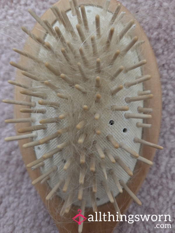 Used Bamboo Hairbrush Good For Spanking 😁