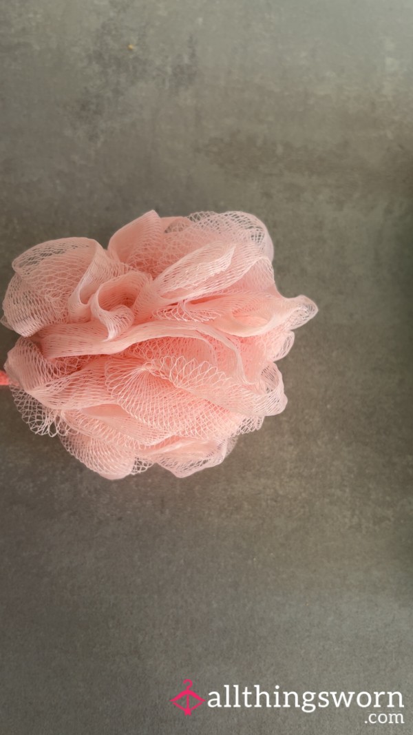 Used Bath Lily