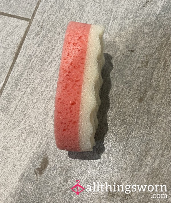 ✨New Seller✨Used Bath Sponge