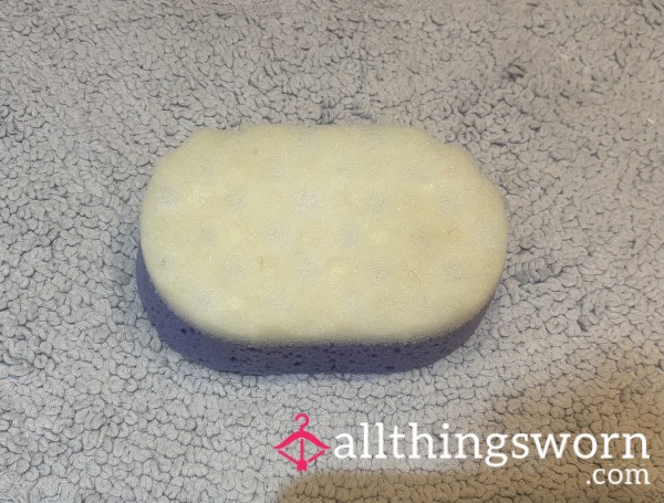 Used Bath Sponge