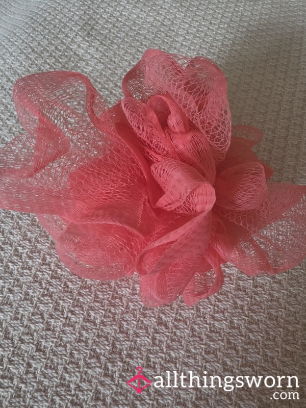 Used Bath/Shower Sponge