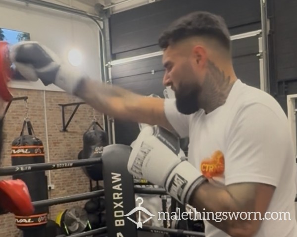 Used Boxing Gloves