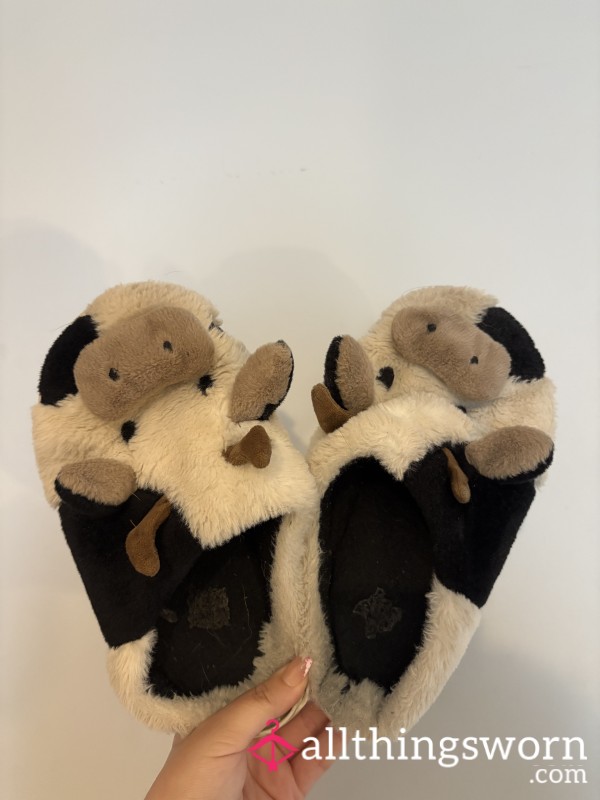 Used Dirty Cow Slippers