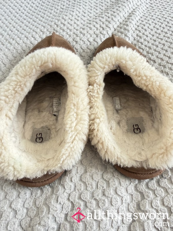 Used Dirty Smelly Ugg Slippers