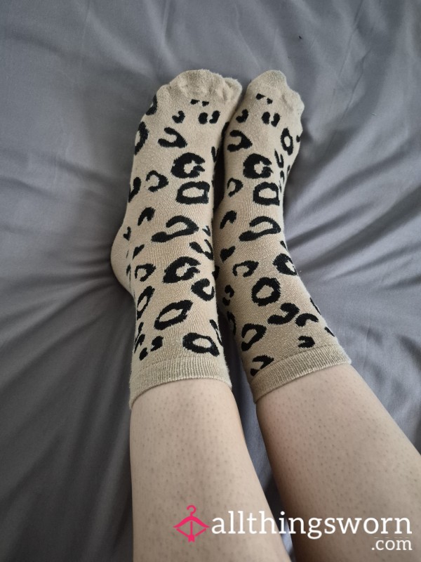 Used Dirty Socks