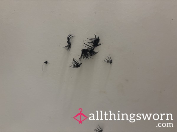 Used Eyelashes 👁️