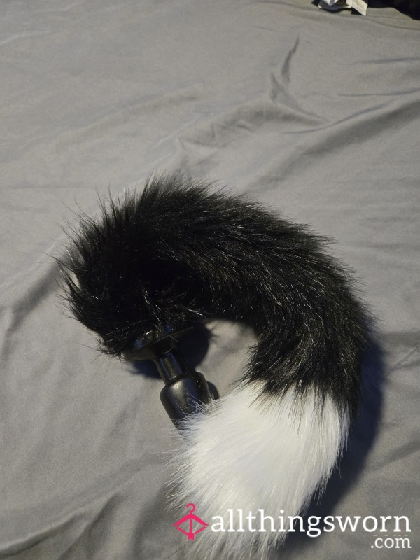 Used Fox Tail