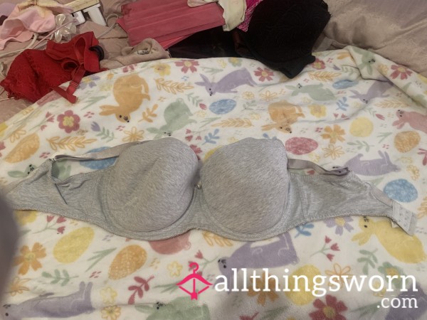 Used Gray Bra
