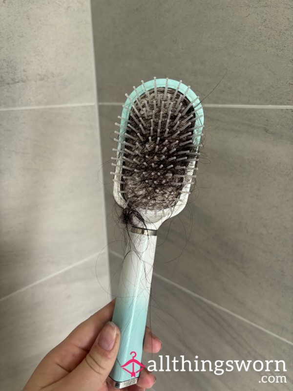 Used Hair Brush