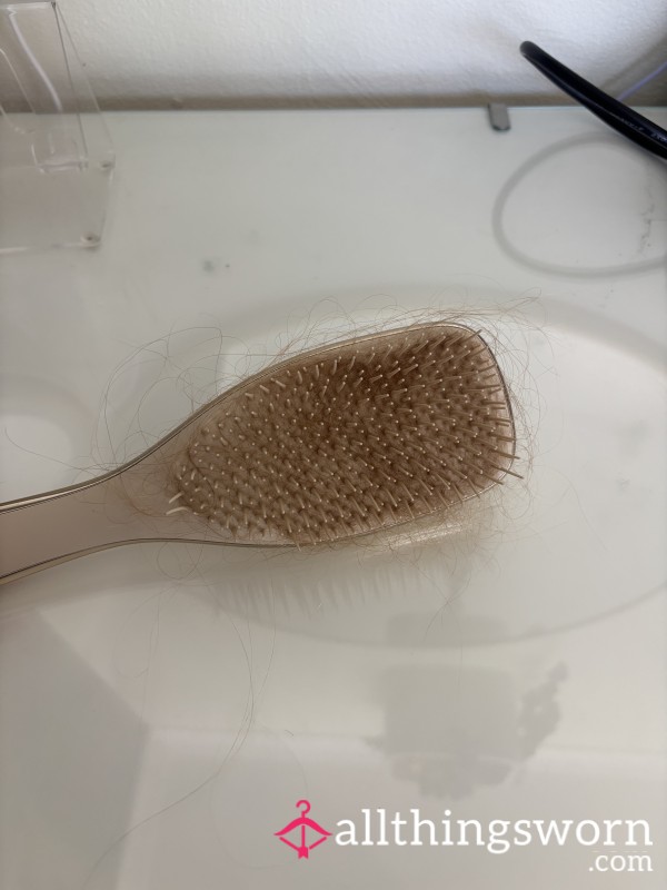 Used Hair Brush