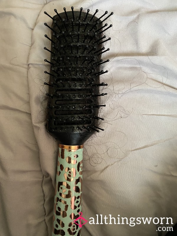 Used Hairbrush