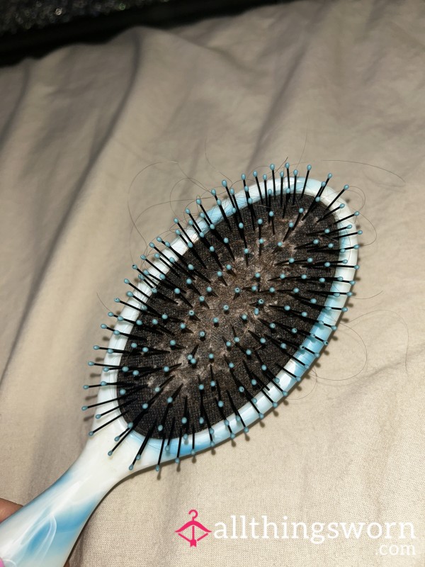 Used Hairbrush