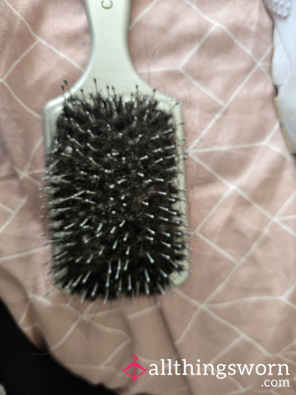 Used Hairbrush
