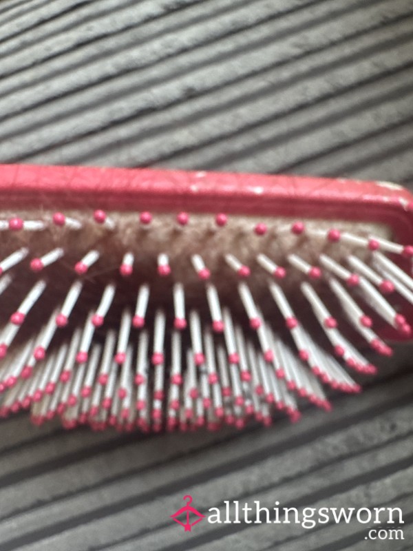 Used Hairbrush.
