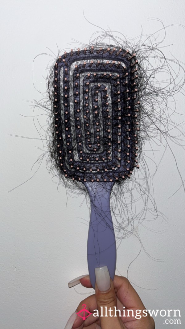 Used Hairbrush