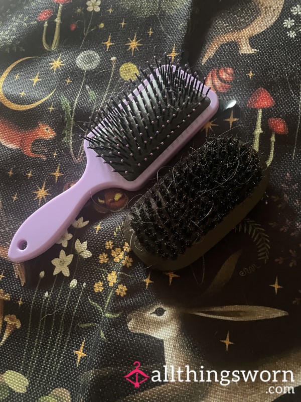 Used Hairbrush Collecting Ginger Strands