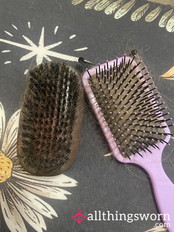 Used Kuromi Or Bristle Hairbrush Collecting Ginger Strands