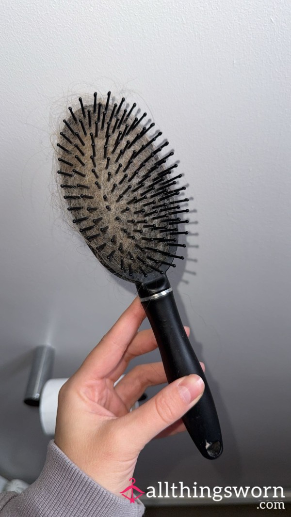 Used Hairbrush Full Of My Hair
