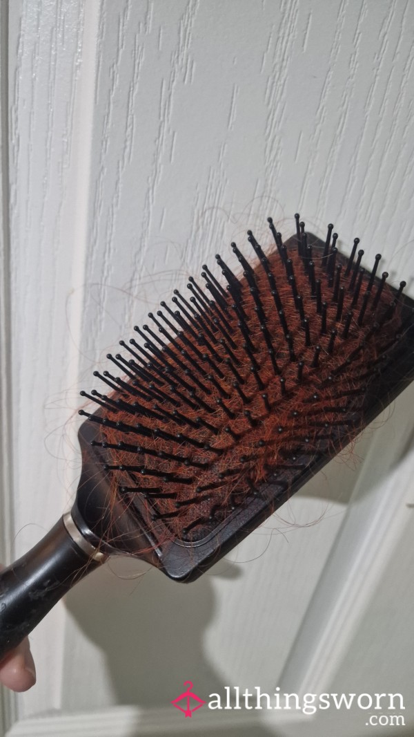 Used Hairbrush Full Of My Hair