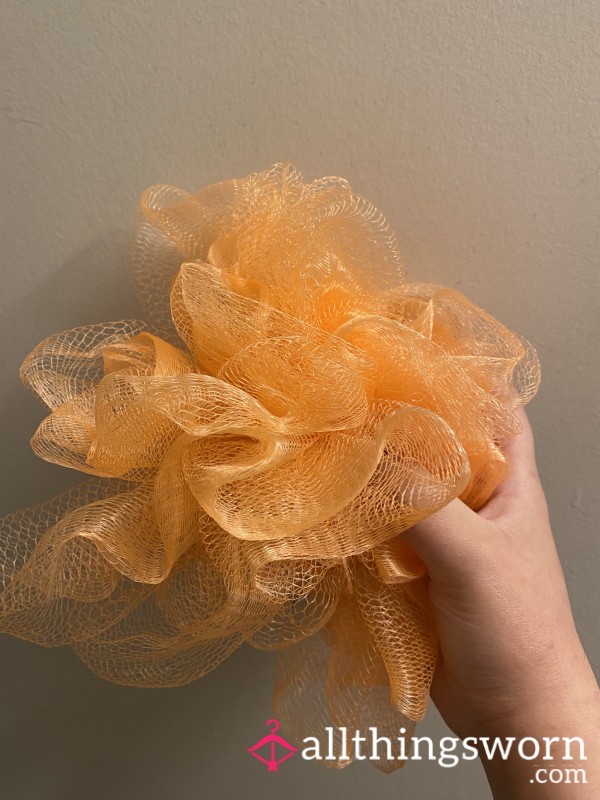Used Loofah