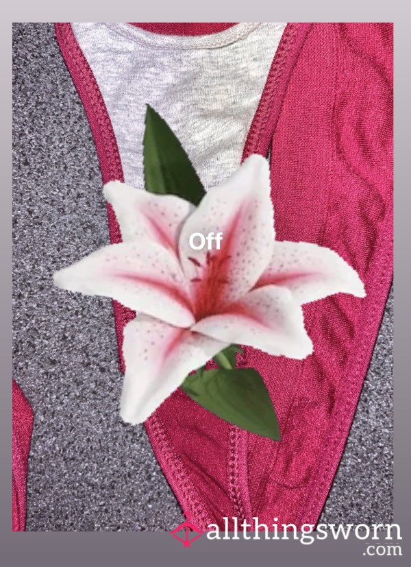 Used Maroon Thong
