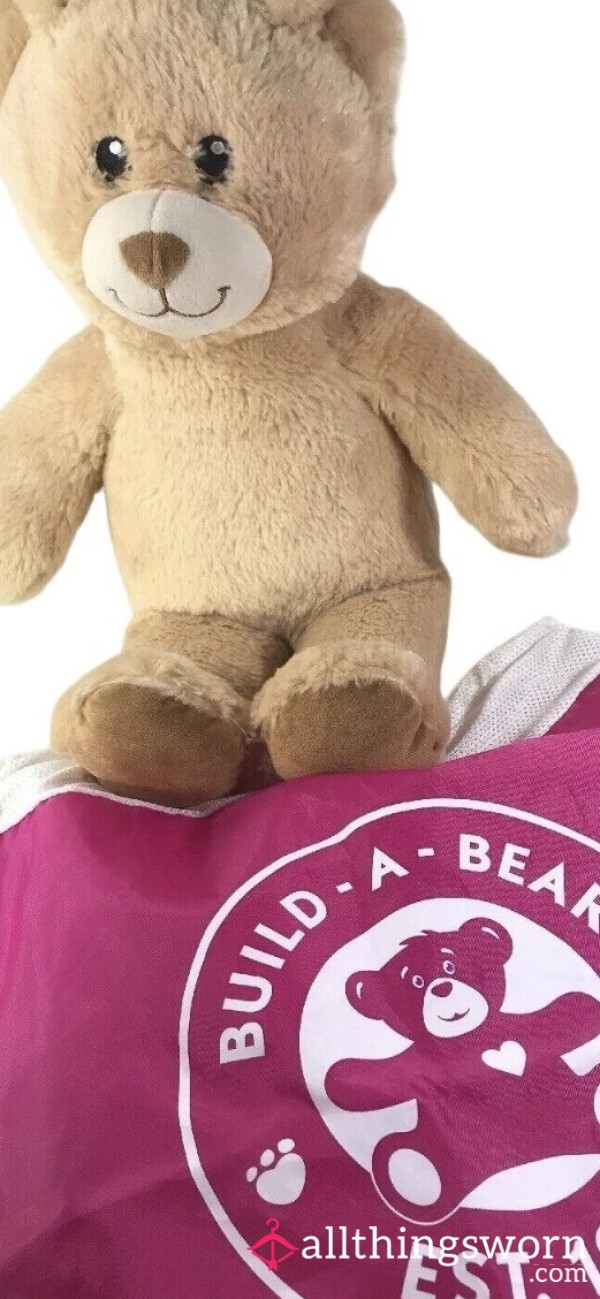 Used Plushie Teddy Bear