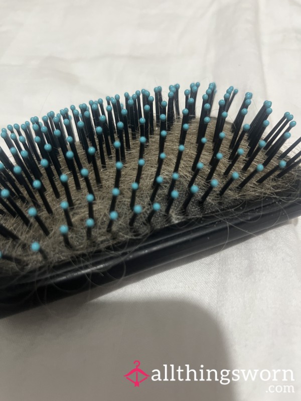Used Princess’s Hair Brush