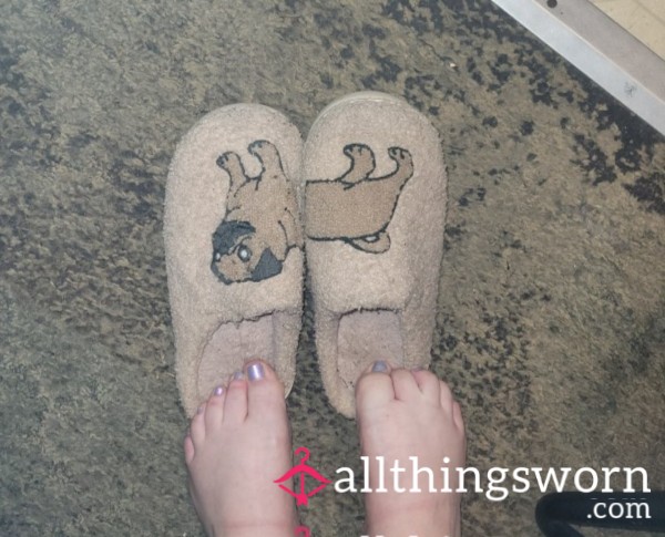 Used Pug Slippers