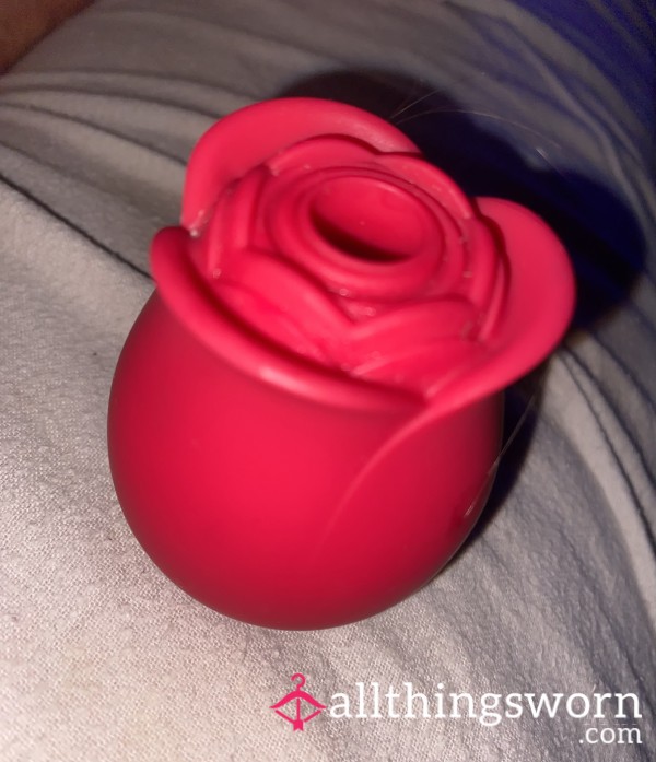 Used Red Rose🌹