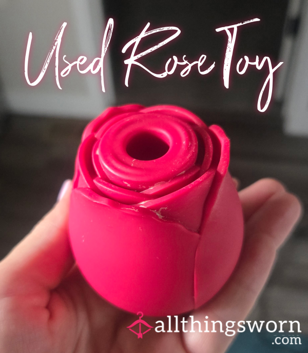 Used Rose Toy