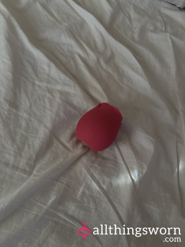 Used Rose Toy