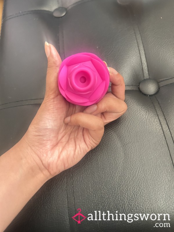 Used Rose Toy