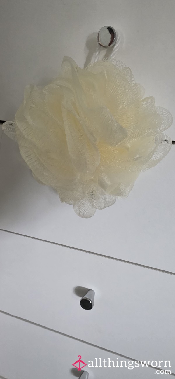Used Shower Loofa
