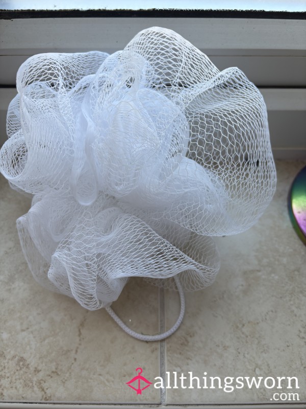 Used Shower Sponge
