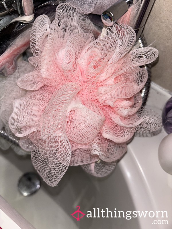 Used Shower Sponge