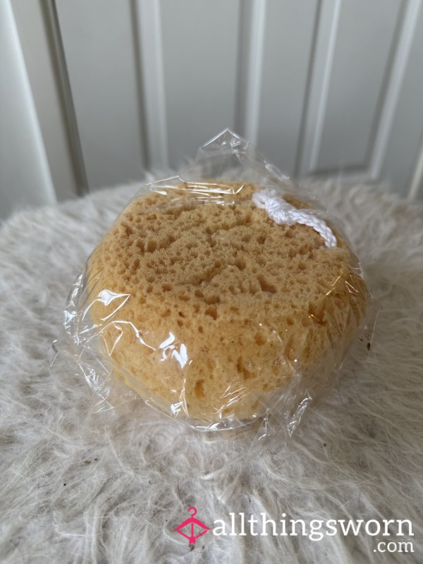 Used Shower Sponge