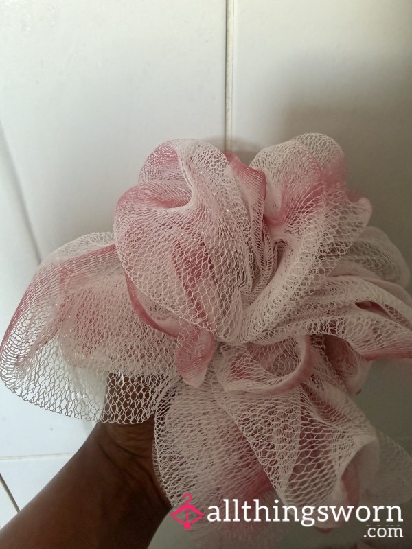 Used Shower Sponge