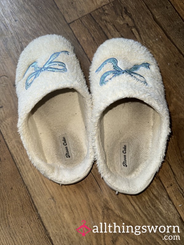 Used Slippers, Worn Daily For 2 Months