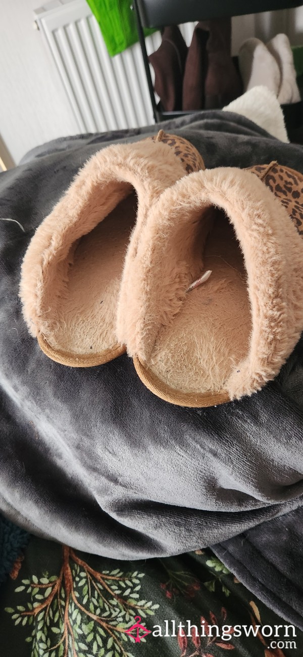 Used Slippers, Worn With Warm Bare Feet