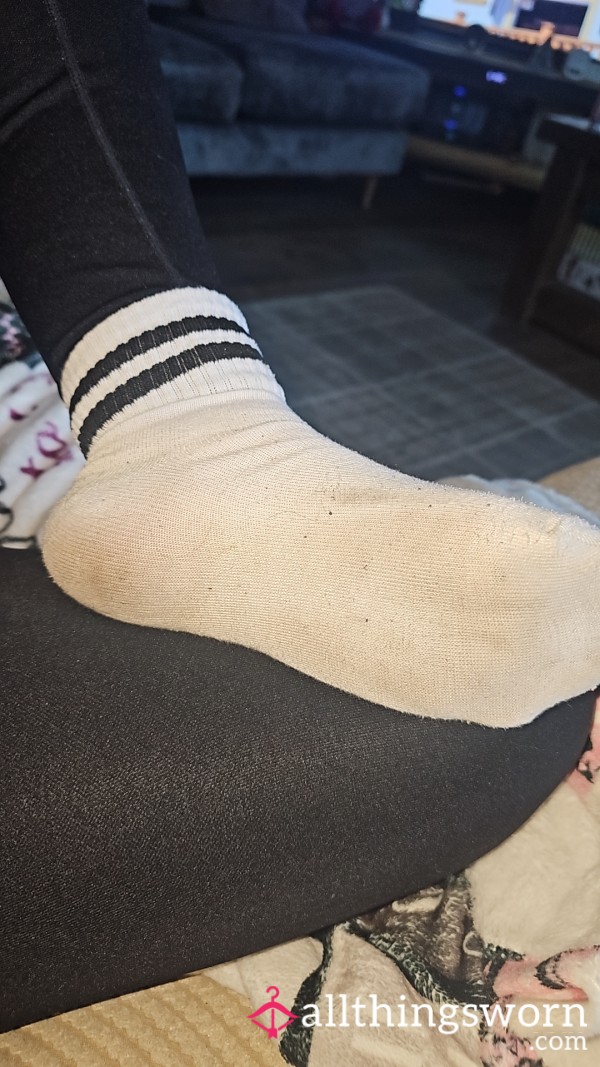 Used Smelly Socks 🦶