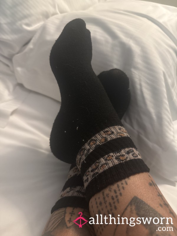 Used Socks. One Day Wear