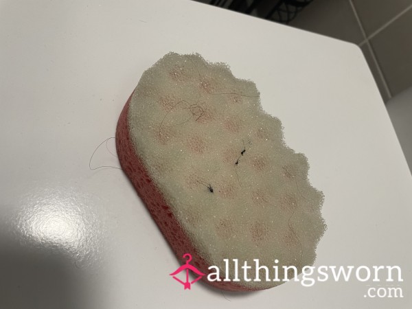Used Sponge