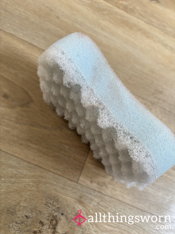 Used Sponge – Bathed In Me