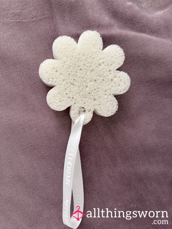 Used Shower Sponge