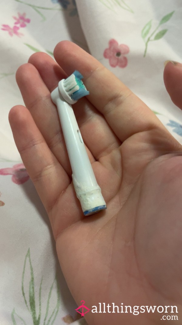 Used Toothbrush Head