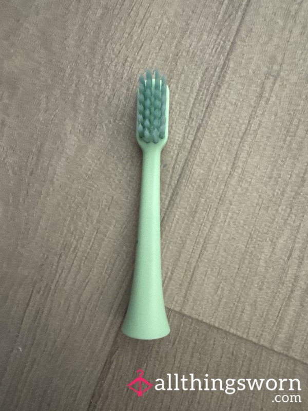 Used Toothbrush Head 🪥