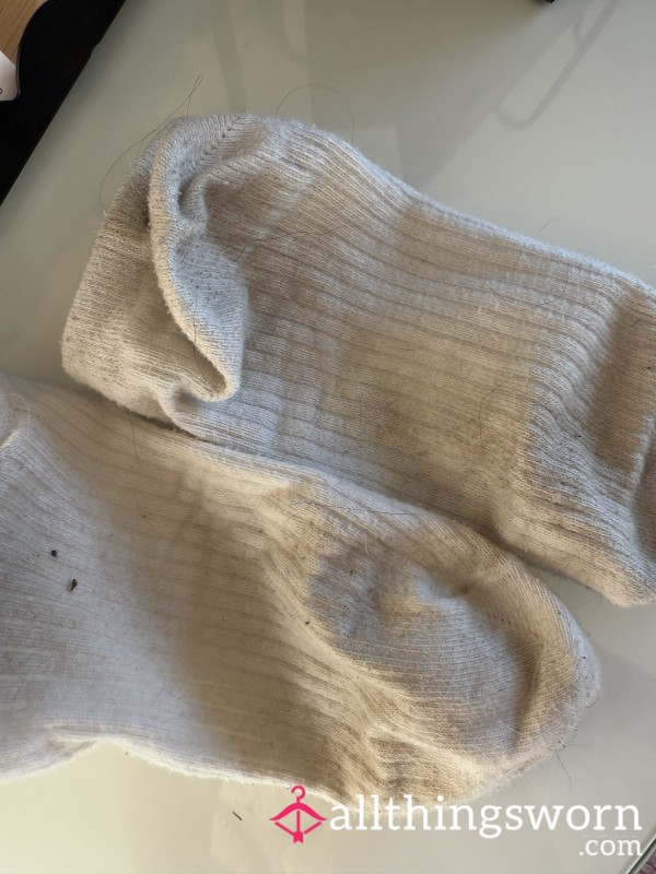 Used Trainer Socks