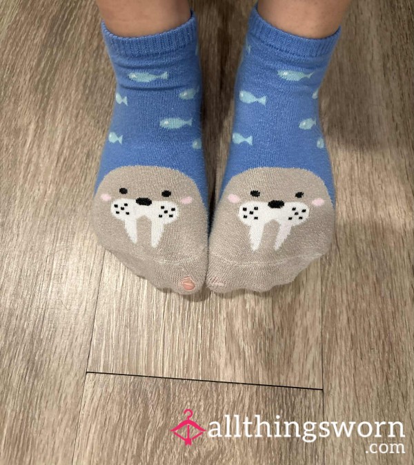 Used Well Worn Walrus Socks