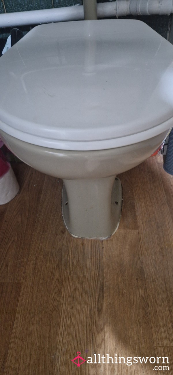 Using The Loo