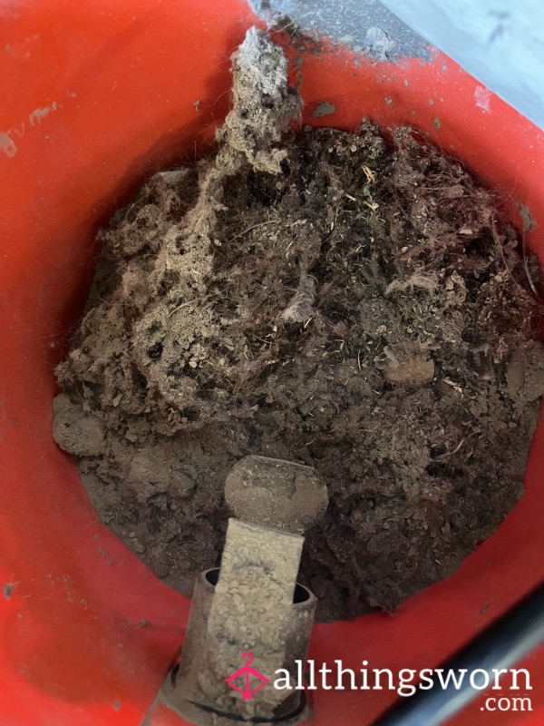 Vacuum Cleaner Contents
